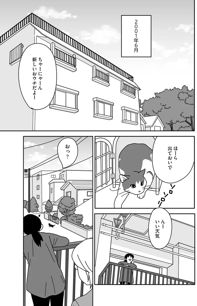 夫婦の縁をつないでくれた保護猫。マリッジブルーも癒してくれて...／世界一幸せな飼い主にしてくれた猫 03-03.png