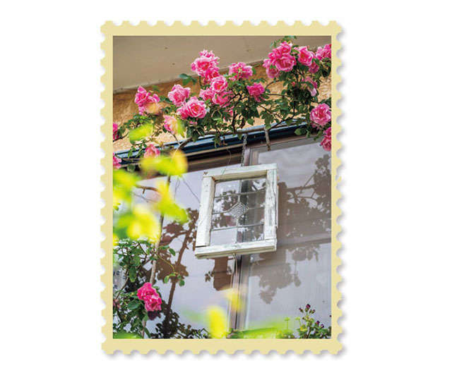 ローズウオーターで「手浴」のひと時を。初夏の日差しに、花びらがきらきら／暮らしの晴れ間 2206_P004_03.jpg