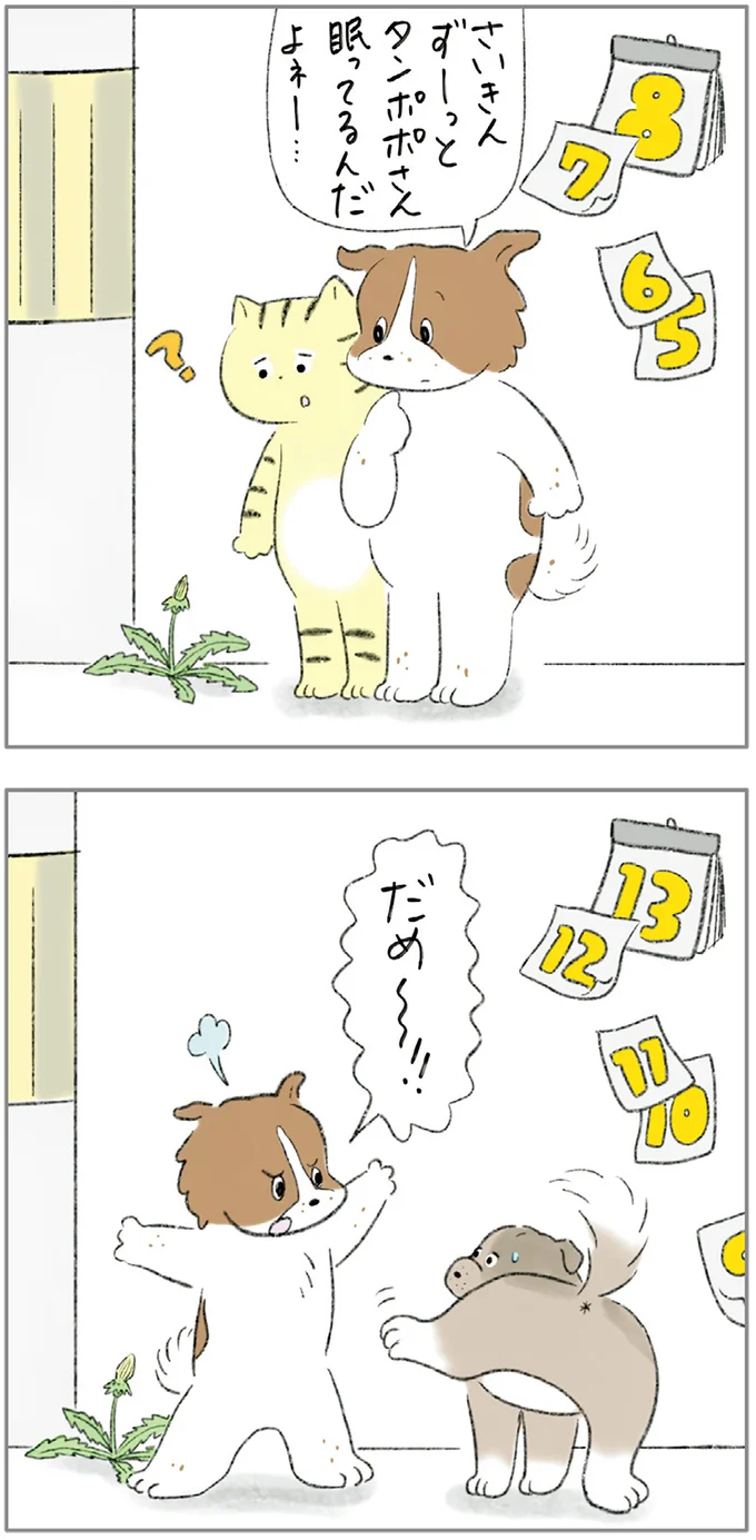 『ターとアグのしあわせ日和 元ノラ猫と元保護犬、ふたりは親友』 02-05.png