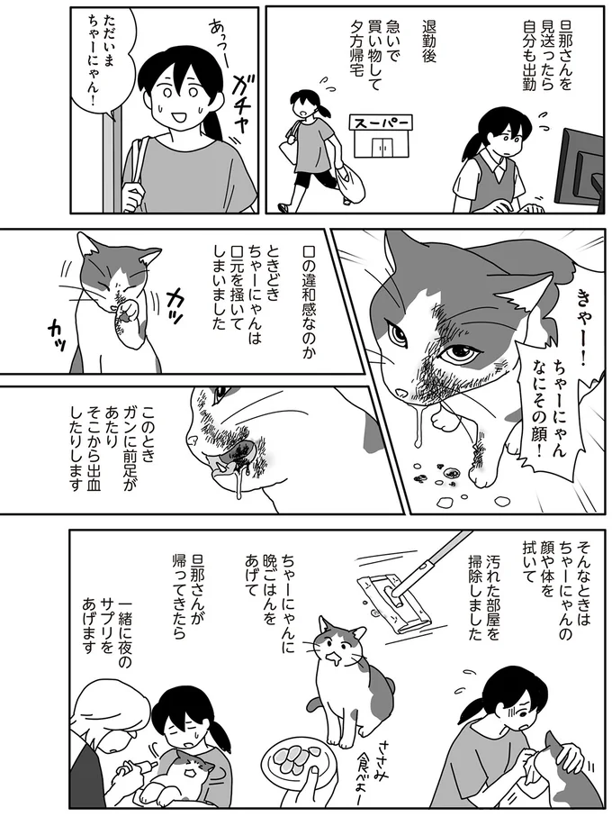 ガンに罹患した愛猫の看病。少しでも快適になるよう飼い主は懸命に...／世界一幸せな飼い主にしてくれた猫 16-03.png