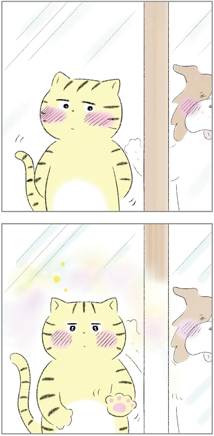 『ターとアグのしあわせ日和 元ノラ猫と元保護犬、ふたりは親友』 11-04.png