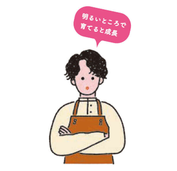 「観葉植物をすぐ枯らす」人にもオススメ！はじめてお迎えするのにおすすめの植物 名称未設定-5.jpg