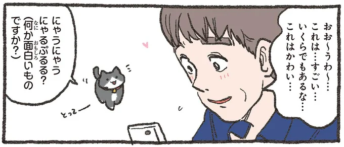 くつろいだだけで過去最高を更新。ねこおじの魔性の可愛さ／ねこに転生したおじさん3