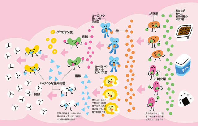 脳での不安が減る、太りにくくなる...最新研究でわかった「腸活」7つの効果【薬学博士・國澤先生が解説】 2310_P010-011_02.jpg