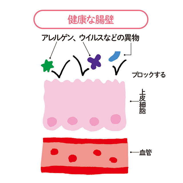 脳での不安が減る、太りにくくなる...最新研究でわかった「腸活」7つの効果【薬学博士・國澤先生が解説】 2310_P012-013_03.jpg