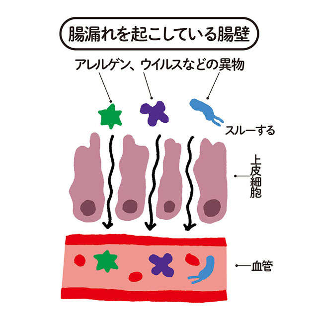 脳での不安が減る、太りにくくなる...最新研究でわかった「腸活」7つの効果【薬学博士・國澤先生が解説】 2310_P012-013_04.jpg