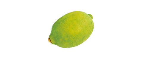 美肌効果や老化防止に。旬のレモンの栄養をまるごといただく！農家に教わる「まるごとレモンの保存食」 2311_P027_2_W500.jpg