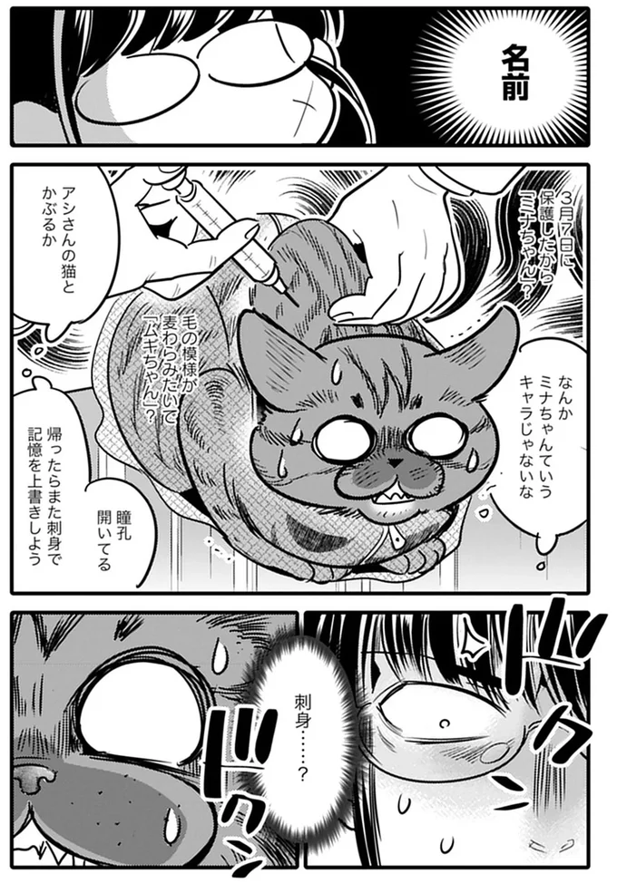 保護した猫と動物病院へ。まだ決めていなから名前を聞かれ...どうする？／ブリちゃん日記 15791984.webp