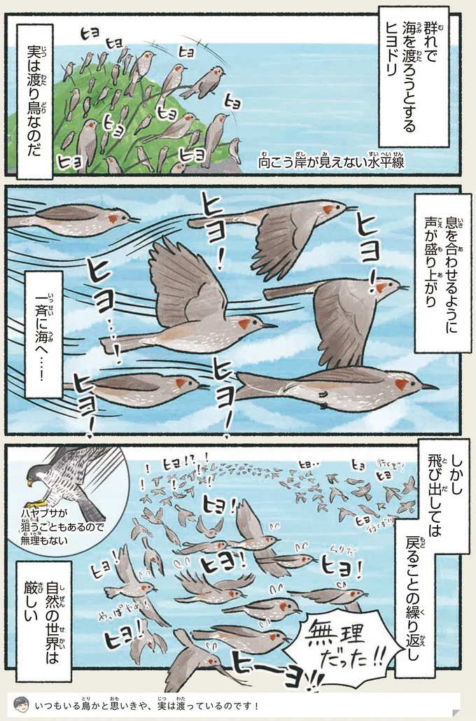 『意外と知らない鳥の生活 1〜2』 131.webp