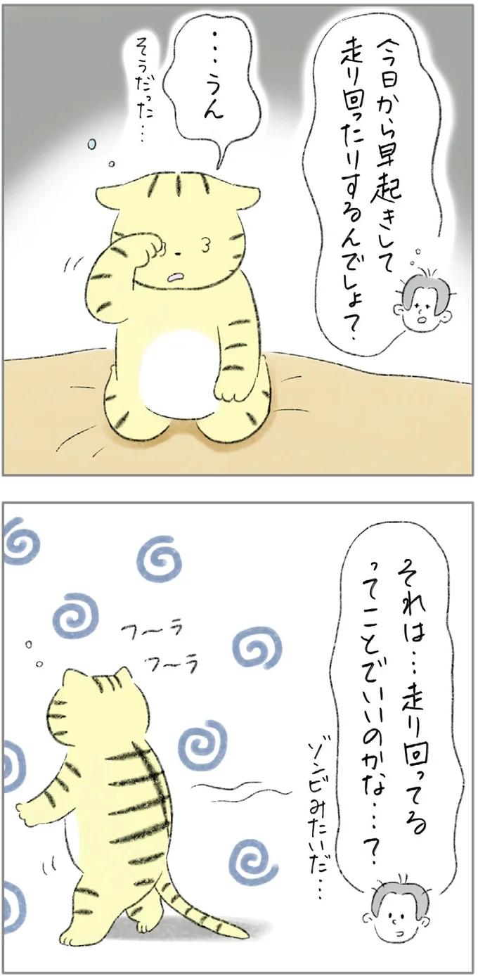 『ターとアグのしあわせ日和 元ノラ猫と元保護犬、ふたりは親友』 07-08.png