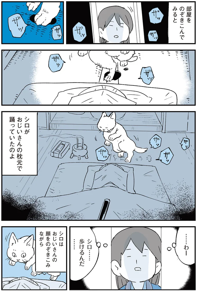 『いつもきみのそばに 動物たちが残した25個の不思議なメッセージ』 10-03.png