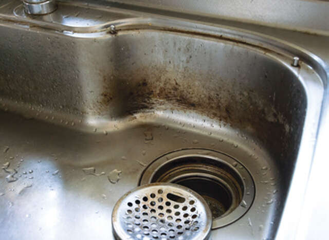 「水回り掃除」は 暑い季節だからこそ効果的！ 手間・力いらずの基本ワザ【人気掃除YouTuberが伝授】 2507_P004_1.jpg