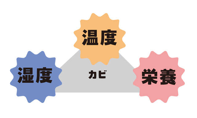 「水回り掃除」は 暑い季節だからこそ効果的！ 手間・力いらずの基本ワザ【人気掃除YouTuberが伝授】 2507_P005_3.jpg