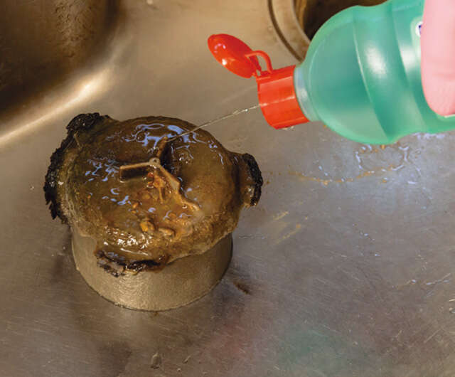 「水回り掃除」は 暑い季節だからこそ効果的！ 手間・力いらずの基本ワザ【人気掃除YouTuberが伝授】 2507_P006_11.jpg