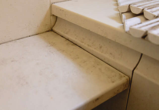 カビの温床を根こそぎ! 人気掃除YouTuberに聞いた「夏こそスッキリ!浴室掃除術」 2507_P008_11.jpg