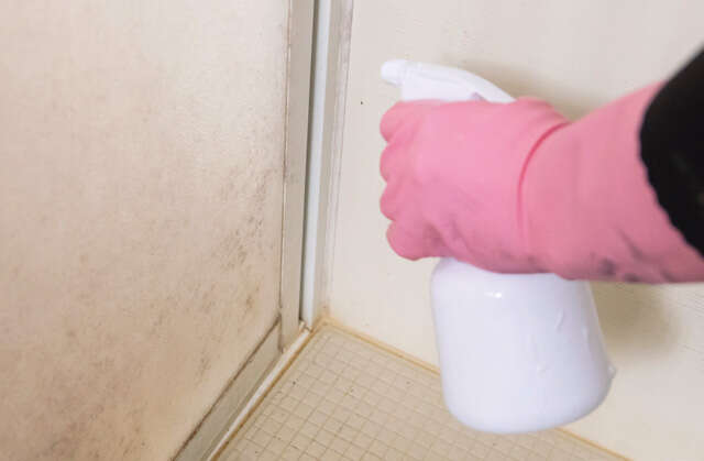 カビの温床を根こそぎ！ 人気掃除YouTuberに聞いた「夏こそスッキリ！浴室掃除術」 2507_P009_06.jpg