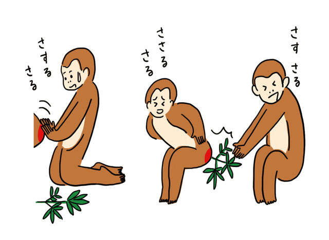 記憶力や頭の回転に不安が出てきたら...脳トレ博士・川島隆太先生が推奨する「早口言葉」