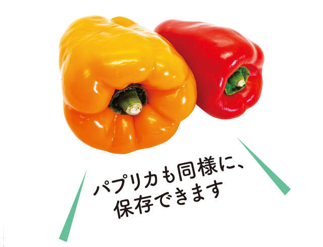 じゃがいもは丸ごと冷凍すればOK！ 意外と知らない野菜の冷凍保存テク 2509_P007_06.jpg