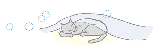 プロが薦める「ぐっすり寝のための寝具のポイント4つ」。寝ても疲れがとれないなら寝具が原因かも! 2510_P022-023_02.jpg