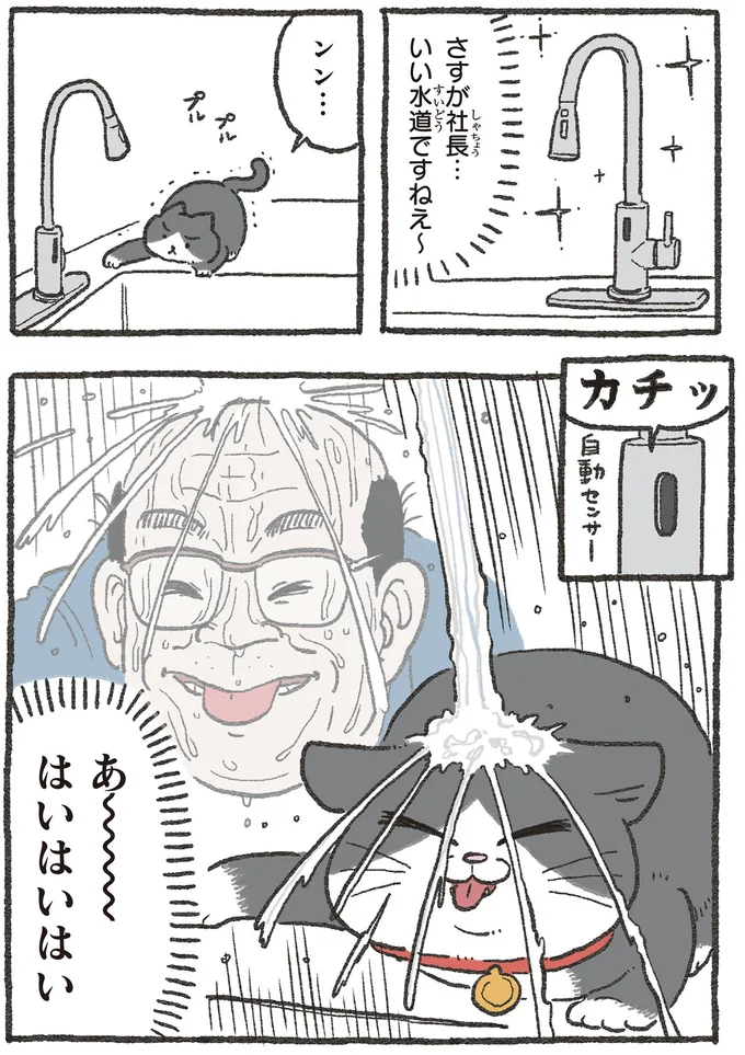 『ねこに転生したおじさん1〜3』 162.webp