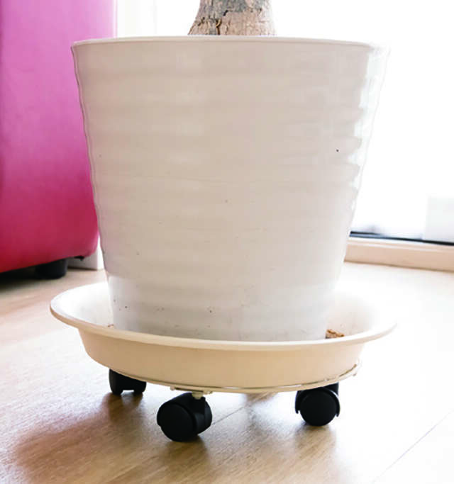 読者のリビングで実践!「捨てない」片付けビフォアアフター【整理収納アドバイザー中山真由美さんが指南】 2512_P006_03.jpg