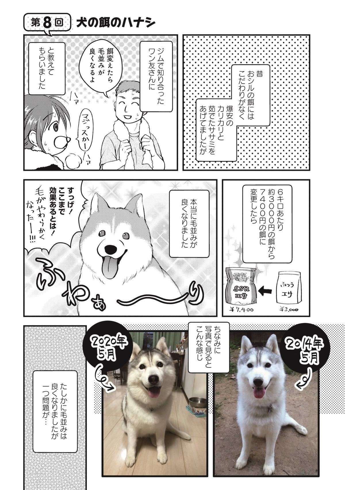 「なんで？」愛犬の餌を変えたら毛並みがふわぁ～り！ ただ1つ、謎の問題が...／猫とハスキーとハマジ1 1.jpg