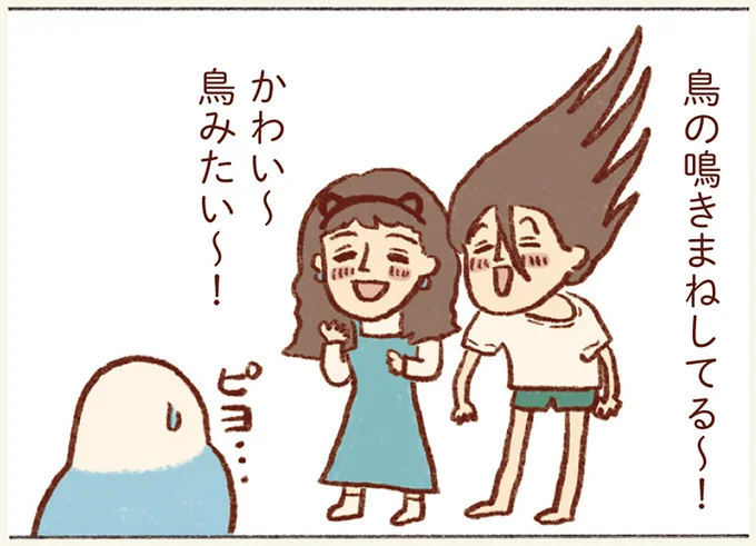 「プジェ、キュキュ、ジャア」たまに来る「ピヨ」の鳴き声がかわいい我が家のセキセイインコ／プジェ日記！  15.webp