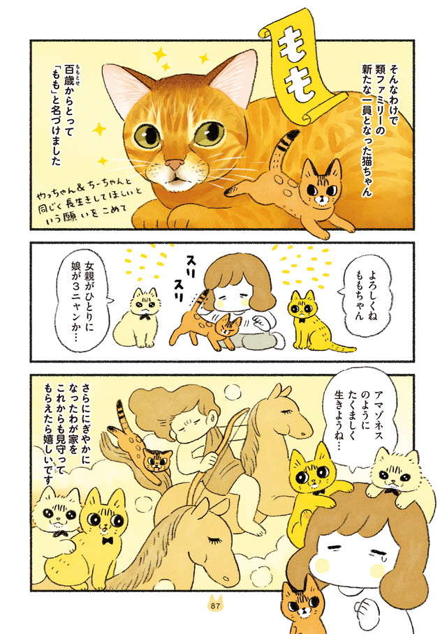 ももちゃんを正式に迎えて「女4人家族」に。たくましく生きるぞー！／茶トラのやっちゃんとちーちゃん3 4.jpg