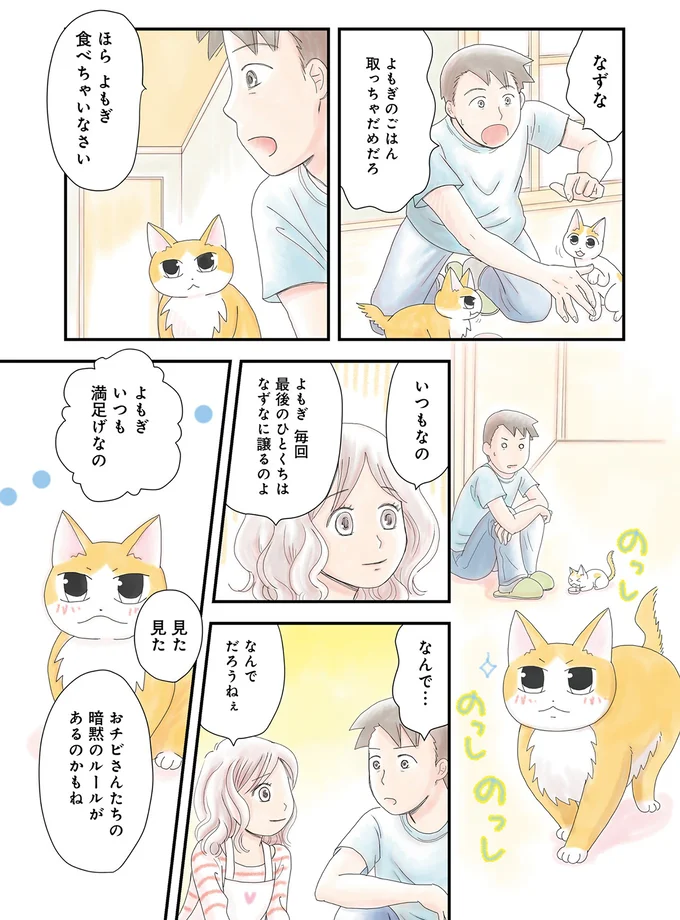 保護した子猫との生活。「お姉ちゃん猫」の優しさが見えてほっこり／飼い猫がなつきません 05-05.png