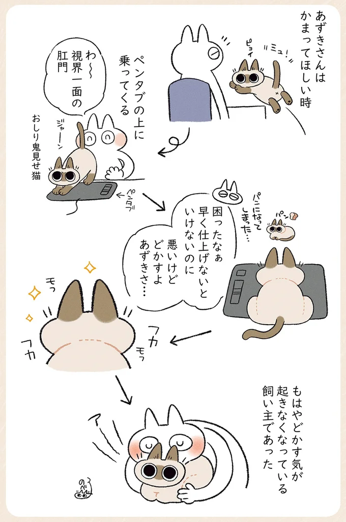 『シャム猫あずきさんは世界の中心』1〜2 22-03.png