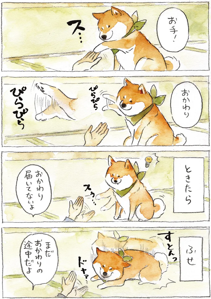 テコでも動かない柴犬。「考え」モードに入ったら...／柴犬ぽんちゃん、今日もわが道を行く２ 03-02.png