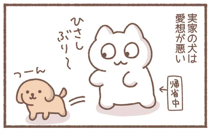 「愛想が悪い」実家の犬。でも夜になると...不思議な距離感／毎日がんばっていきる、えらい