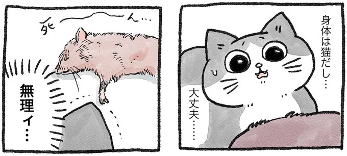 猫に転生したとはいえコレを食べるのは...苦悩するおじねこの前に現れた救世主／ねこに転生したおじさん1