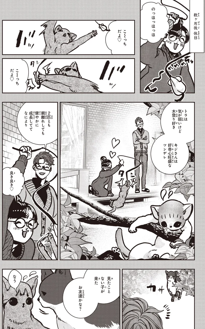 通い猫が襲われた⁉地域で猫を保護するTNR活動団体に連絡してみた／スローステップ朔太郎 上 02-01.png