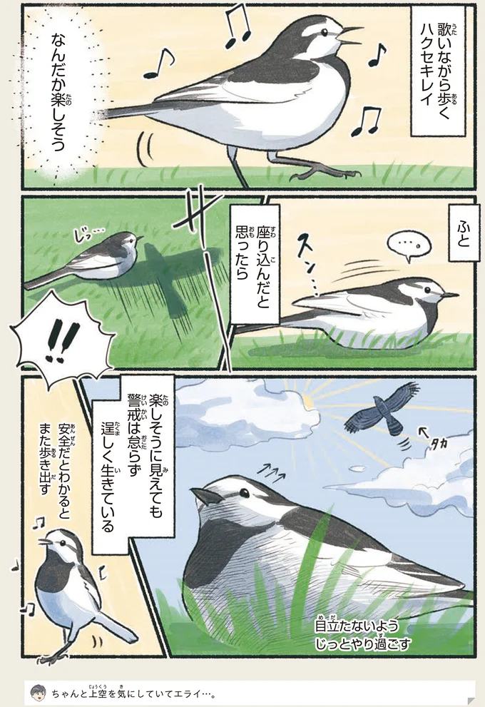 『意外と知らない鳥の生活 1〜2』 92.webp