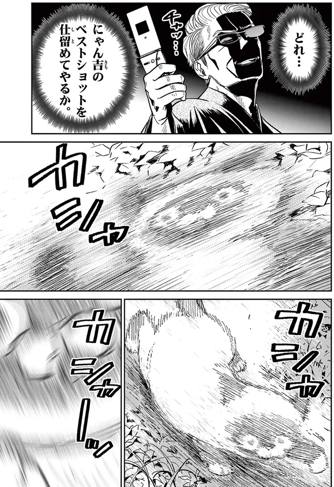 「ベストショットを仕留めてやる」ガラケーで野良猫の撮影にチャレンジ／オヤジとにゃん吉 16223369.webp