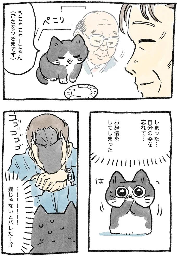 「うにゃにゃーにゃん」思わず言ったお礼がおじねこの運命を変える!/ねこに転生したおじさん1 61.webp