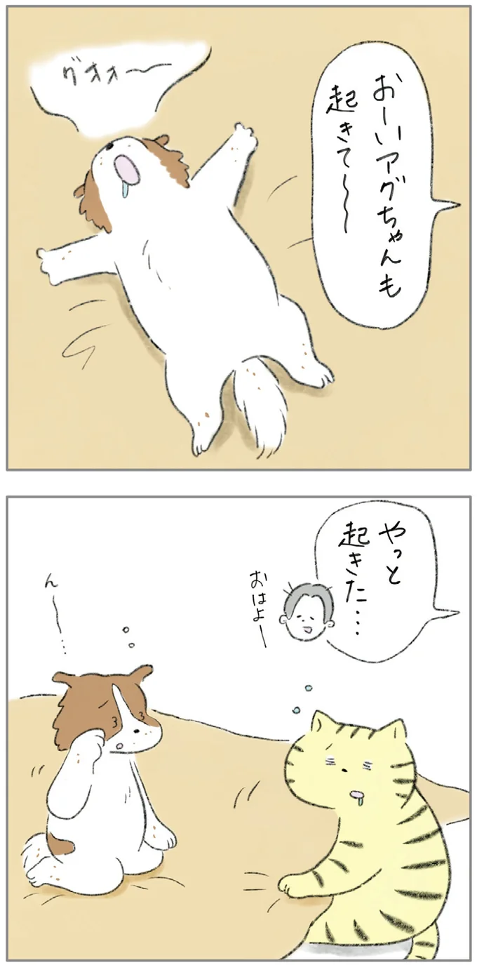 『ターとアグのしあわせ日和 元ノラ猫と元保護犬、ふたりは親友』 07-03.png