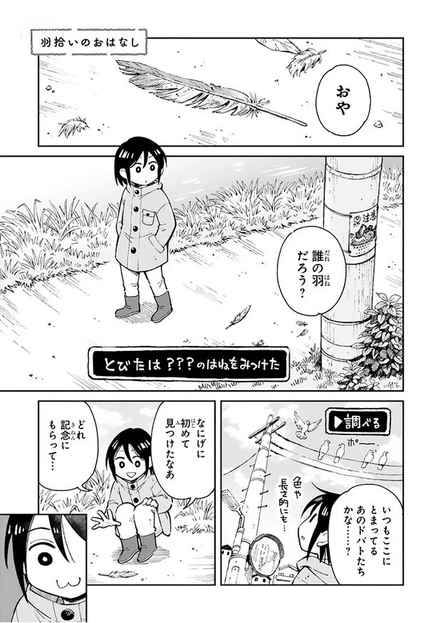 まいにち鳥びより 20.png