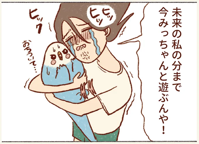 『プジェ日記！ 幸せを運ぶインコのみっちゃん』 34.webp