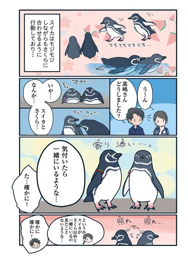 SNSで人気の「ペンギン関係マンガ」 密かに愛を育んだ「美男美女カップル」の生活とは？ 91支持率No.1カップルが愛おしい「下町ペンギン物語」第十二話4.jpg