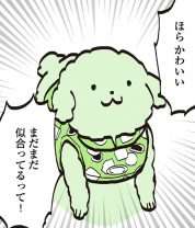 愛犬は人間でいうと64歳。新しい服を着せて頭によぎったのは...／うちのトイプーがアイドルすぎる。