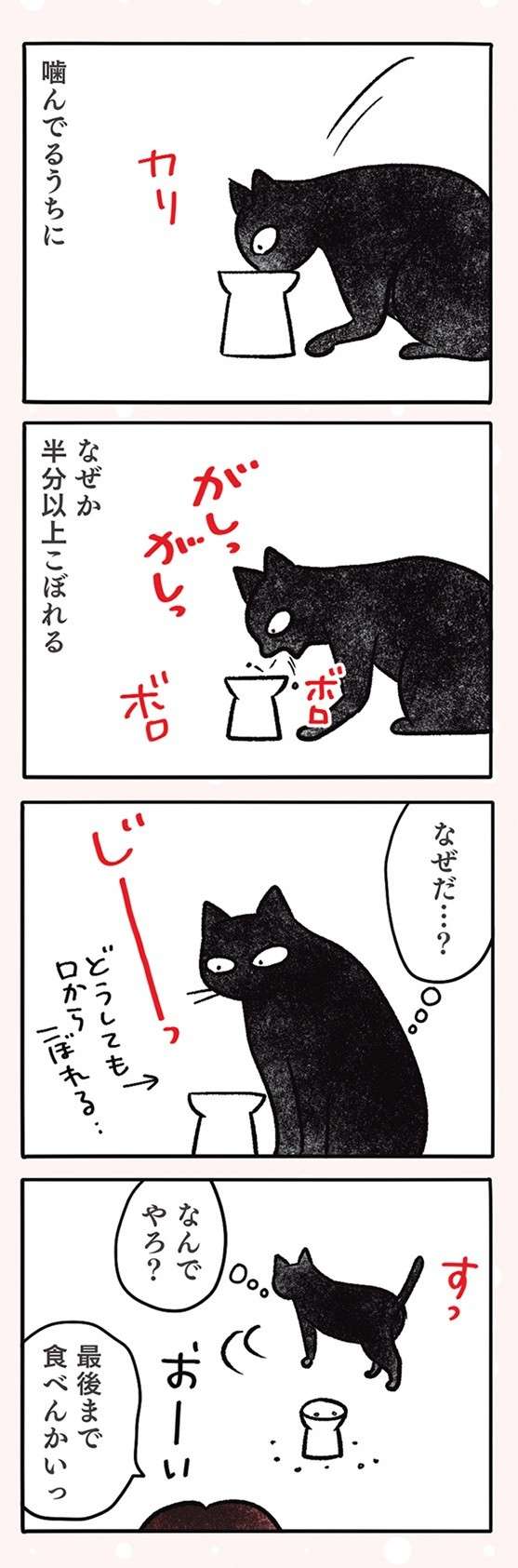 「なんでやろ」猫の食事。どうしても「こう」なるのは何故なのか／黒猫ナノとキジシロ猫きなこ kuroneko_nano8-6.jpg