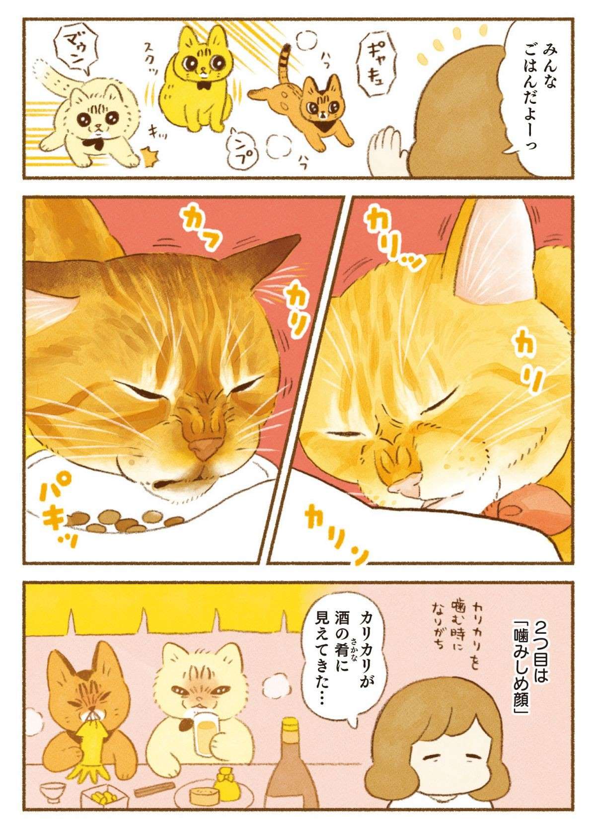 「猫の顔芸」を飼い主は愛してやまない。ええ、「こんな表情」でも／しまねこ3姉妹と暮らしています 11.jpg