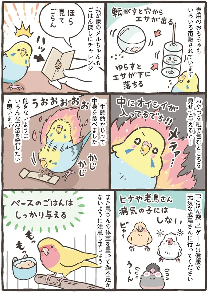 『トリ扱い説明書』 105.png