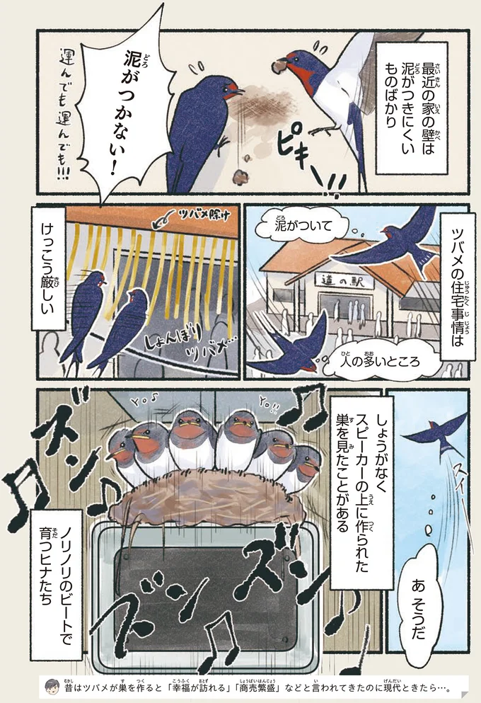 かなり厳しい「住宅事情」。困った末に巣ができた場所は...そこ?/意外と知らない鳥の生活 171.webp