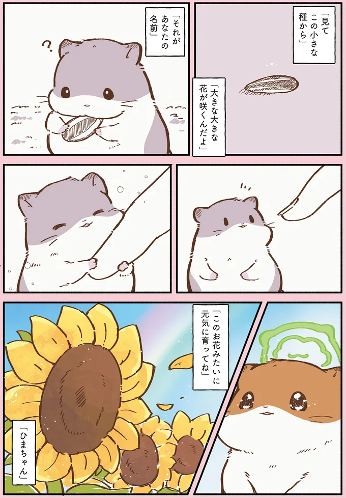 『ひまちゃんと天国の面接』 23.webp