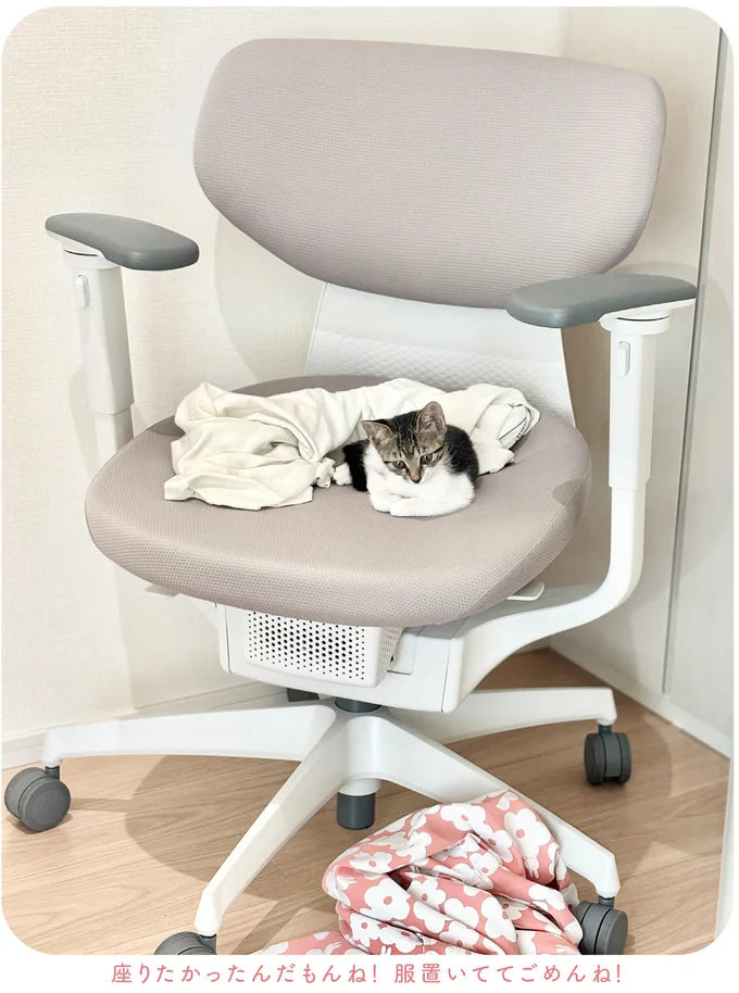 家に馴染んでくれた保護猫。初めてのシャンプーをしてみたら...／ねこのつゆちゃんのことで頭がいっぱいです 16124238.webp