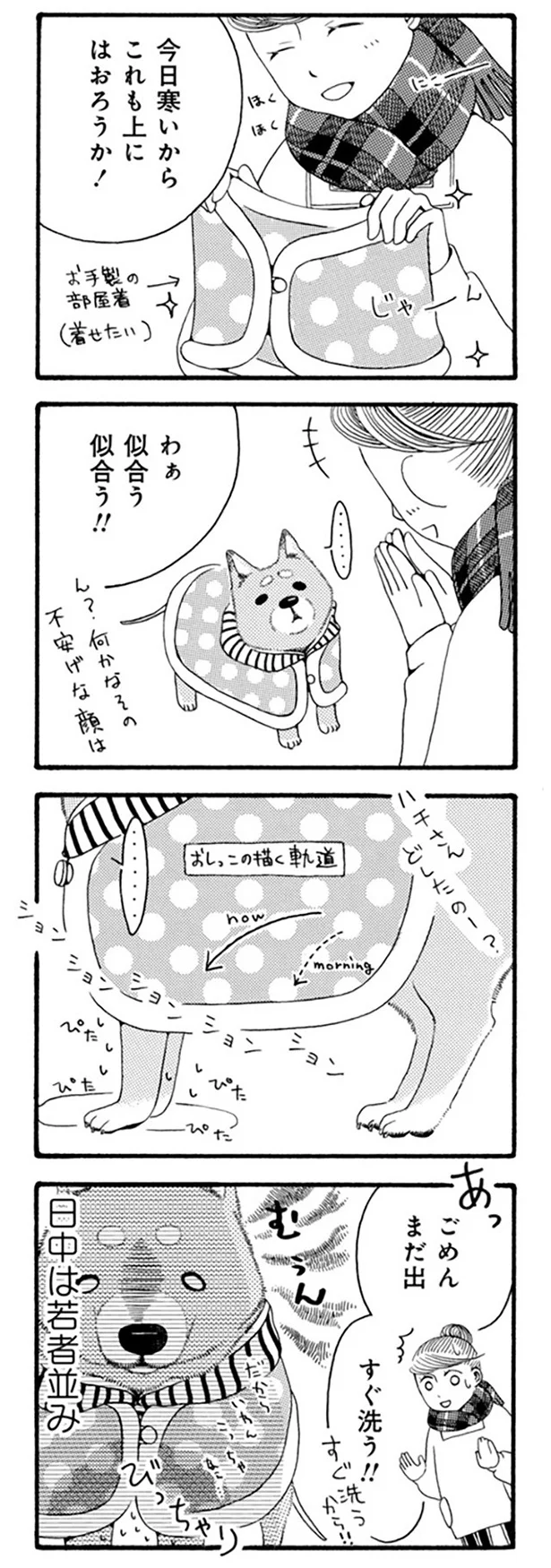 『96歳の柴犬ハチさんは、今日もお散歩しています。』 23.webp