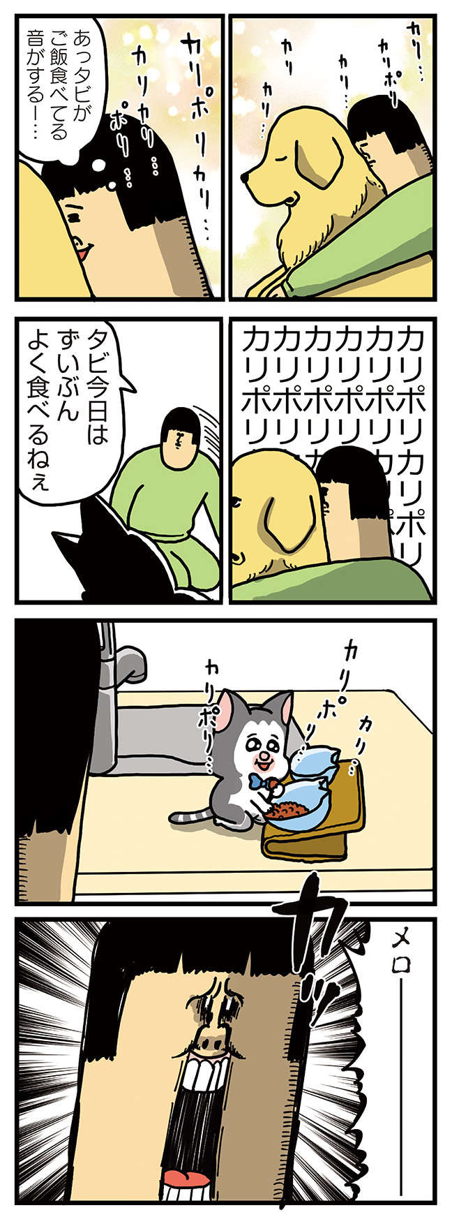 「パンパンやないか」新入り子猫のすさまじいアレ／まめきちまめこニートの日常 こまちとタビ 3 31.jpg